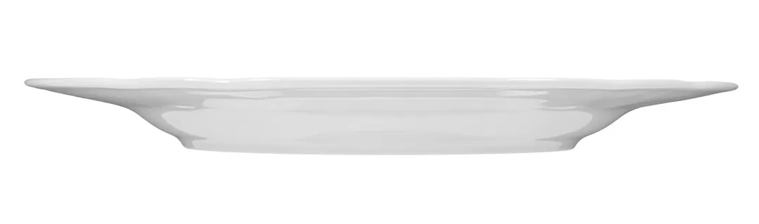 Seltmann 001-600942 China Plate – 12" Round Flat Porcelain Plate with Wide Rim, Salzburg Style