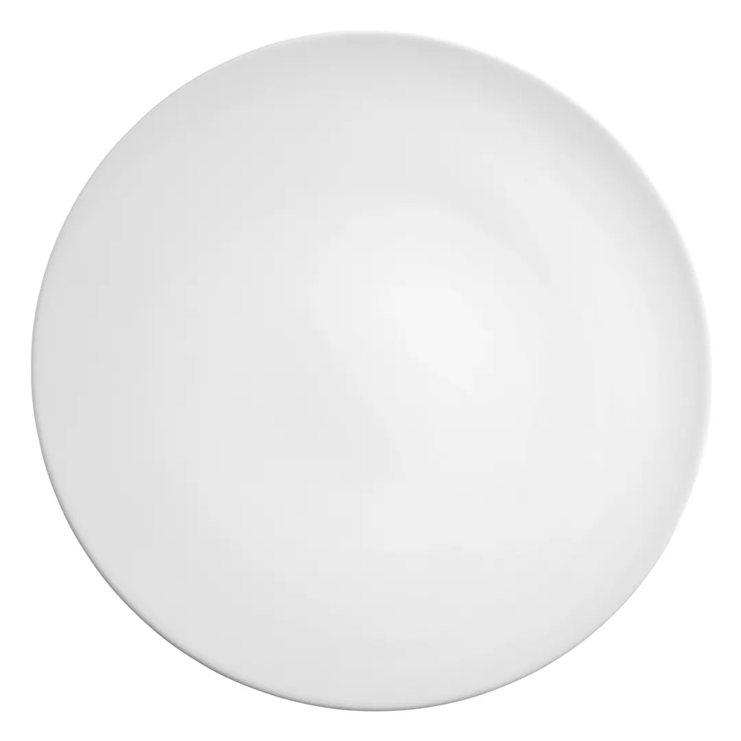 Seltmann 001-729470 - 12" Round Porcelain China Plate for Coup Fine Dining, Elegant Dinnerware