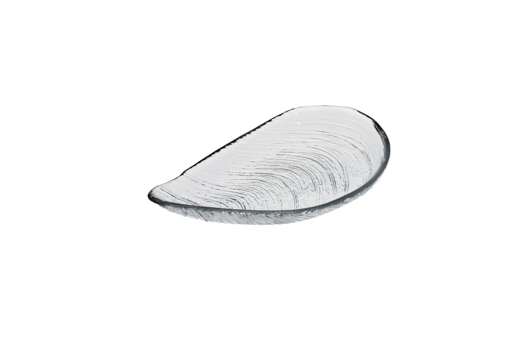Ardacam 1953-1 Glass Plate – 8.86" x 4.9" Free‑Form Auster Clear Glass Dinnerware Plate