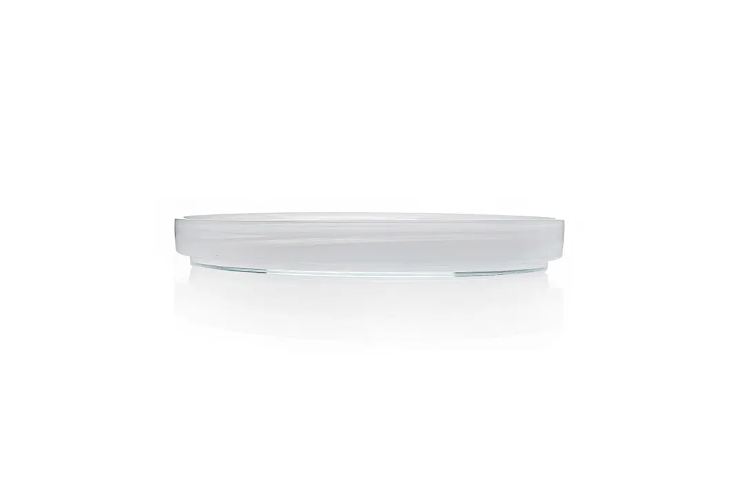 Ardacam 2444-2 - 6.1" Round Glass Dinner Plate, White Finish, 6" Diameter, Elegant Tableware