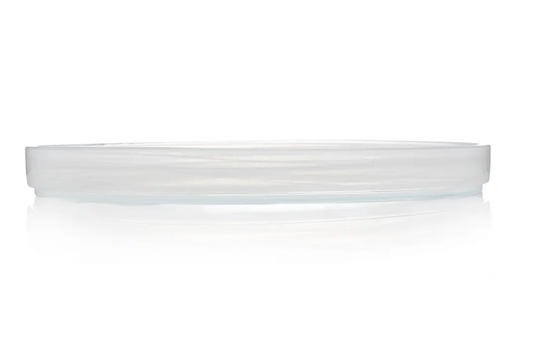 Ardacam 2446-2 Footed Glass Dinner Plate, 11" Diameter Round, New White Finish, Asos Style