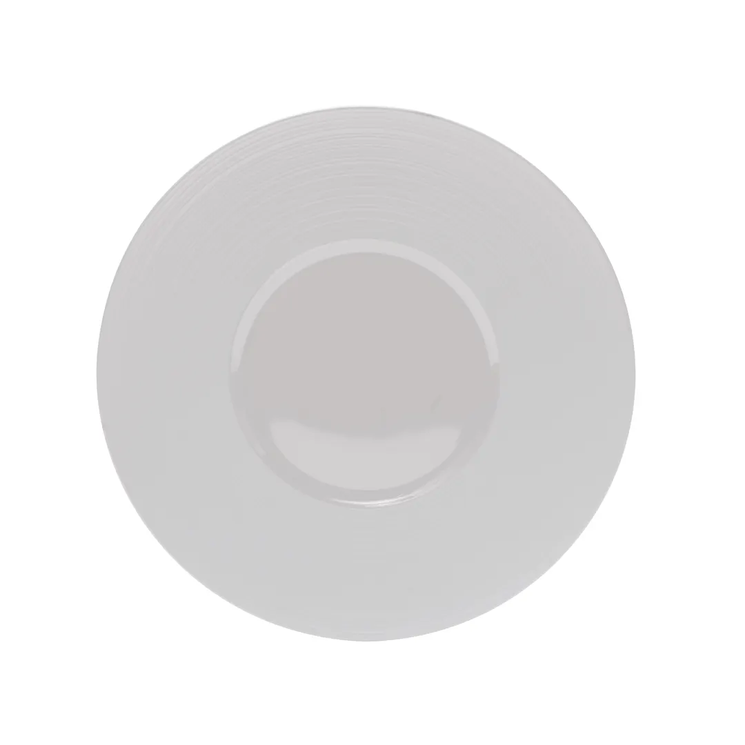 ONIS 5256076 Round China Plate 10" Diameter, Wide Rim, Bright White Porcelain, Dishwasher Safe