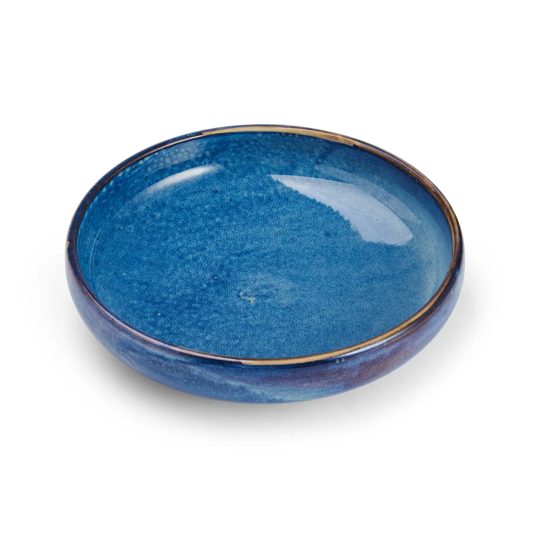 Mikasa 5266838 Starlit Plate, 10" Dia., Round, Coupe Rim, Vitrified Porcelain, Blue