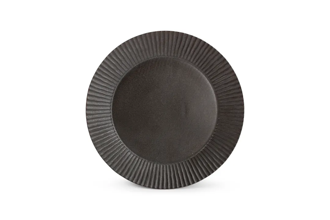 F2D 5314892 Round Porcelain Plate, 11.8" Black Finish, Dishwasher Microwave and Oven Safe