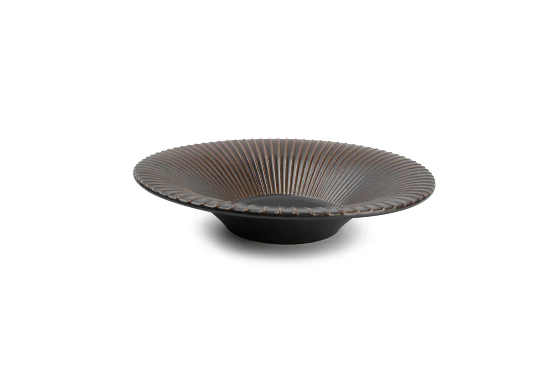 F2D 5315367 Deep China Plate, 10.2" Diameter, Silver Stripe Porcelain, Microwave Oven Safe