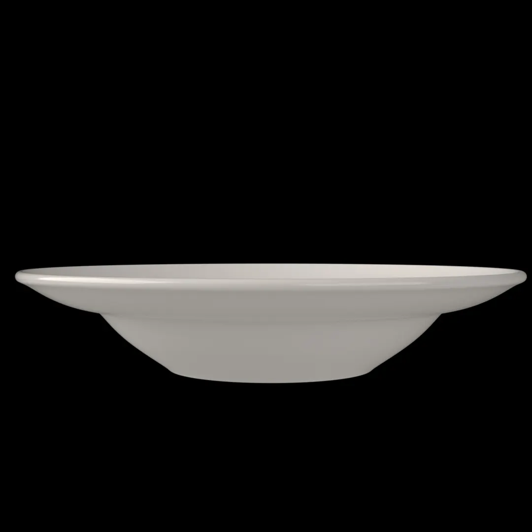 ID Fine 5316276 14 oz 9.9" Dia x 1.75" H Round Fine China Plate, Edge Rim, Dishwasher Safe, Miro