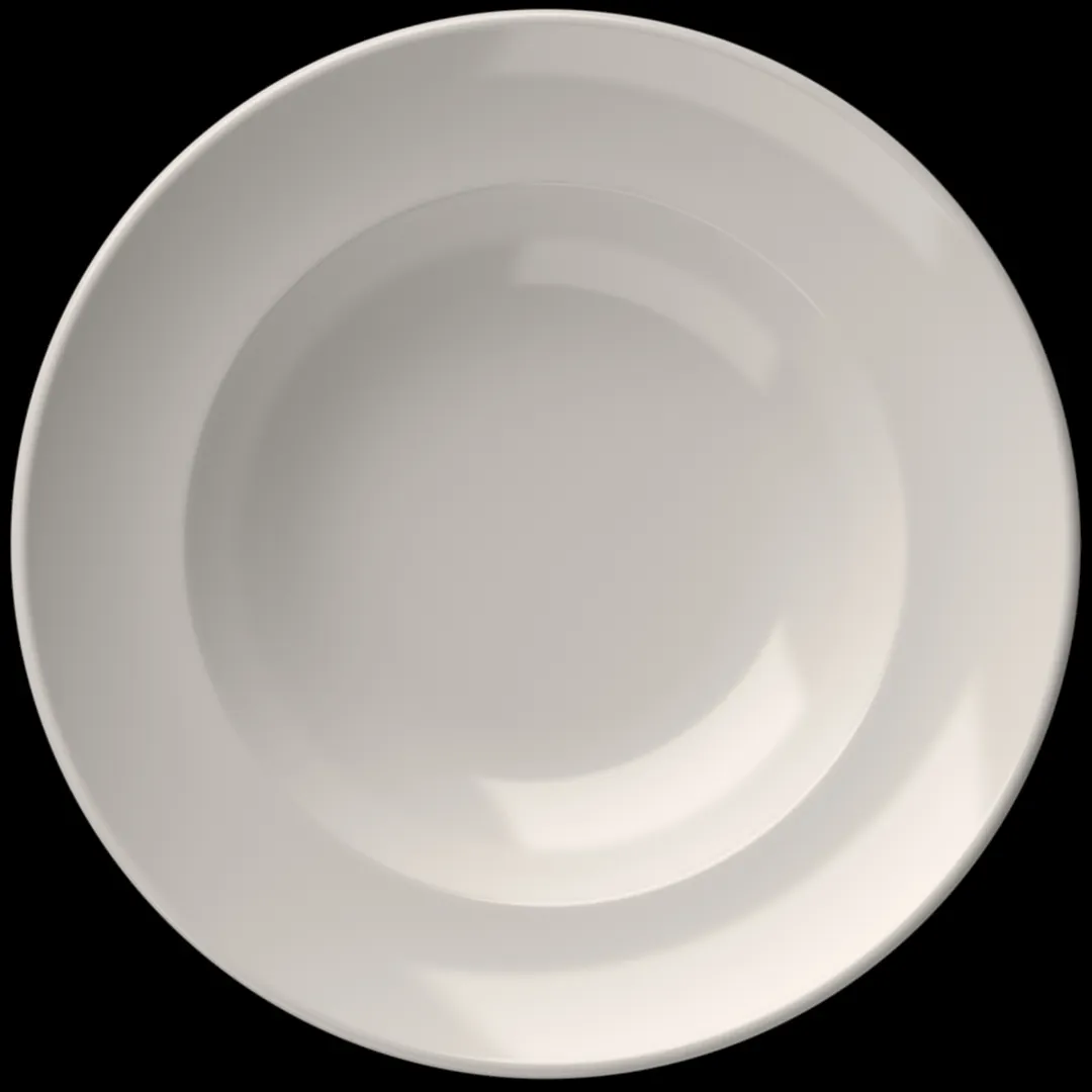 ID Fine 5316276 14 oz 9.9" Dia x 1.75" H Round Fine China Plate, Edge Rim, Dishwasher Safe, Miro