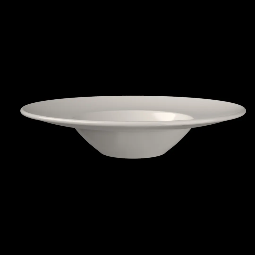 ID Fine 5316278 - 16oz Round China Plate, 11.5" x 2.14" , Dishwasher Safe, Foundation Miro