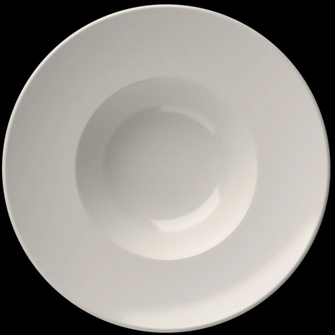 ID Fine 5316278 - 16oz Round China Plate, 11.5" x 2.14" , Dishwasher Safe, Foundation Miro