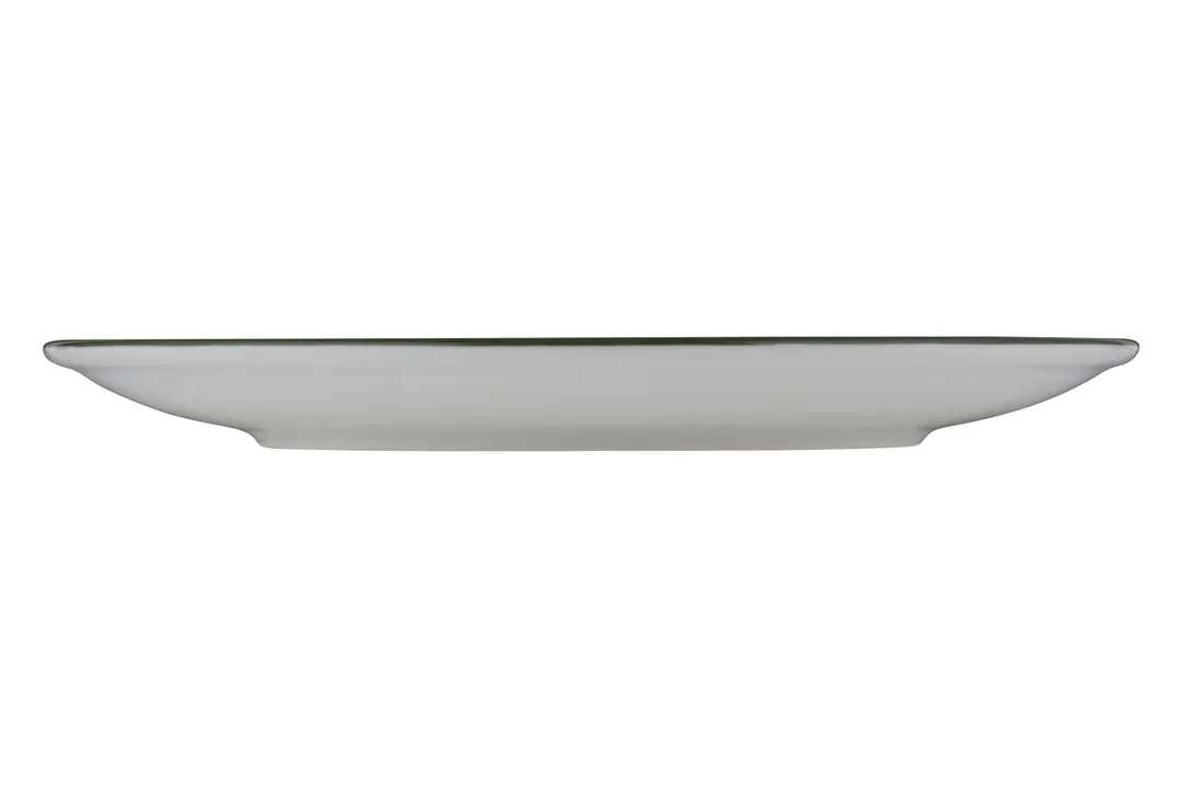 ID Fine 5321571 Coupe Plate, 9.8" Diameter Fine China, Modest Green, Dishwasher Safe, Coupe Rim