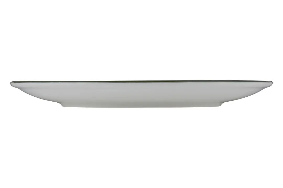 ID Fine 5321572 Coupe China Plate, 10.6" Diameter, Modest Green, Fine China, Dishwasher Safe