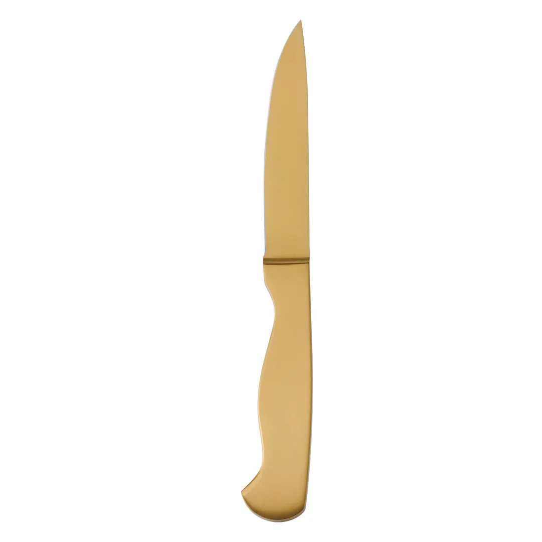 Mikasa 5323175 Hospitality Steak Knife, 9", Stainless Steel, Mason Gold Plated - Case