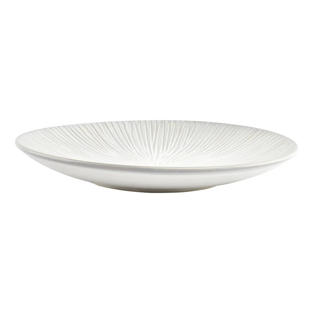 F2D 5323449 Coupe Plate – 11" Grey Porcelain Plate, Halo Rim, Dishwasher Safe, Microwave & Oven Safe