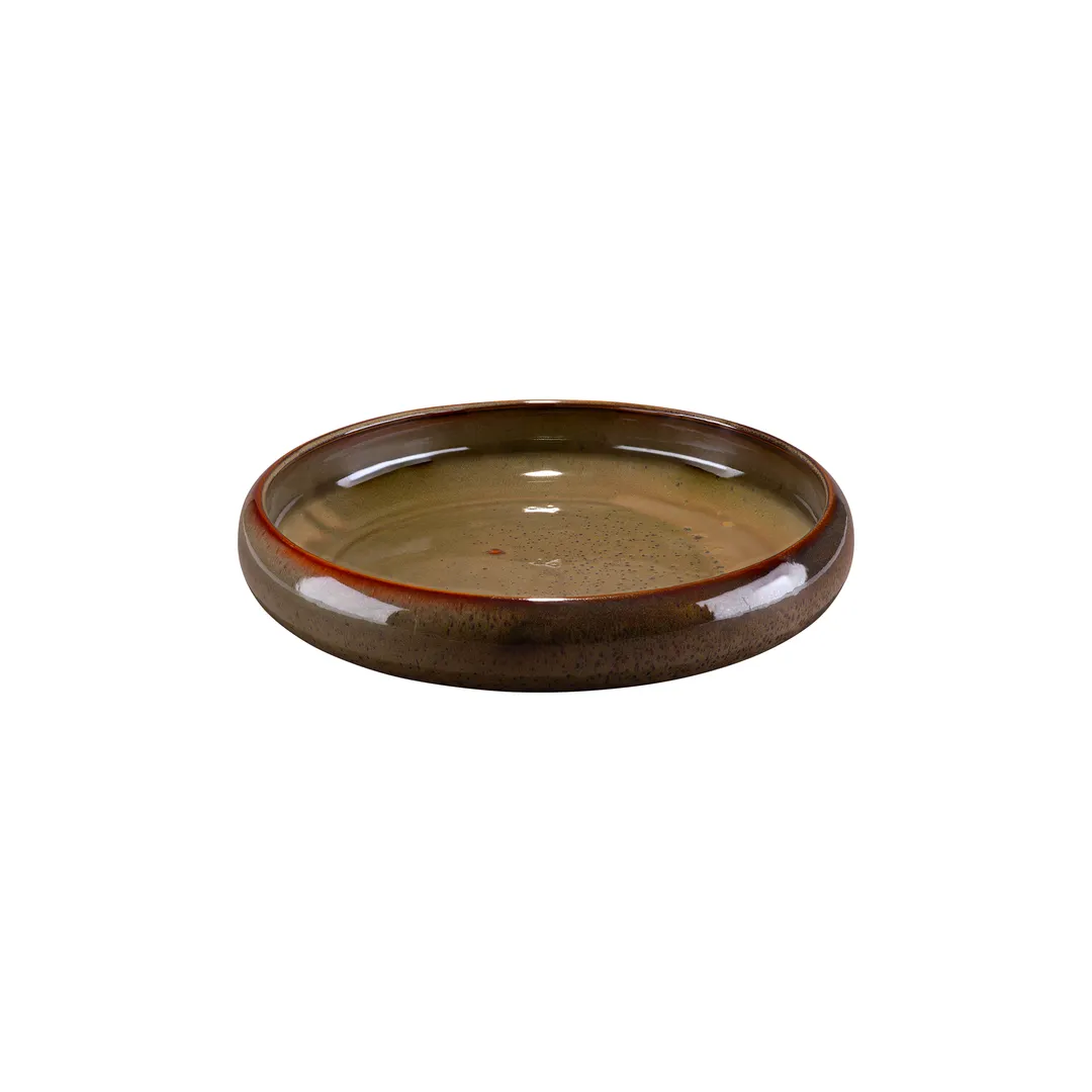 ID Fine 5340740 Roots Plate, 9.8" Diameter, 57.5 oz, Deep Rim, Premium Stoneware, Hazel Celesta