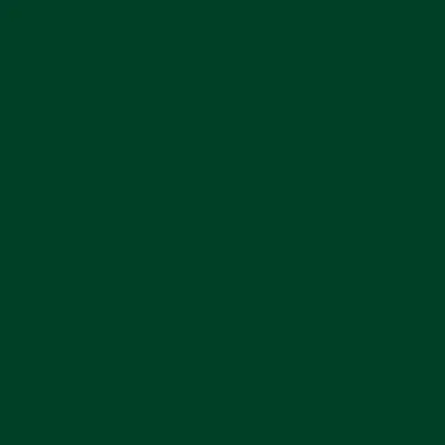 Carlisle 446008 Salad Bar Spoon, 9" Long, 1/2 oz, Forest Green, Plastic, NSF, Made in USA