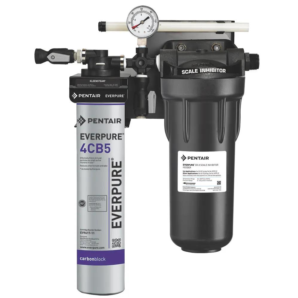 Everpure EV979750 for Steam Equipment Water Filtration System