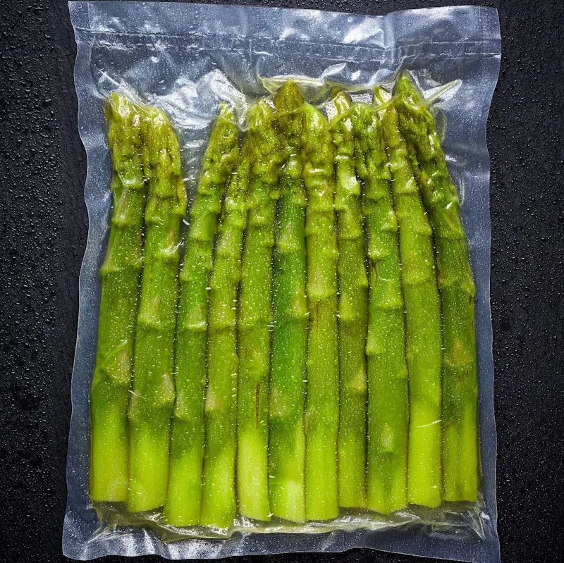 GreenVac PRESERVE CV16/20-3 Bags Food Packaging Machine