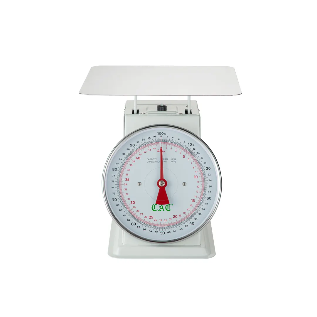 CAC China SCM1-100N Dial Portion Scale