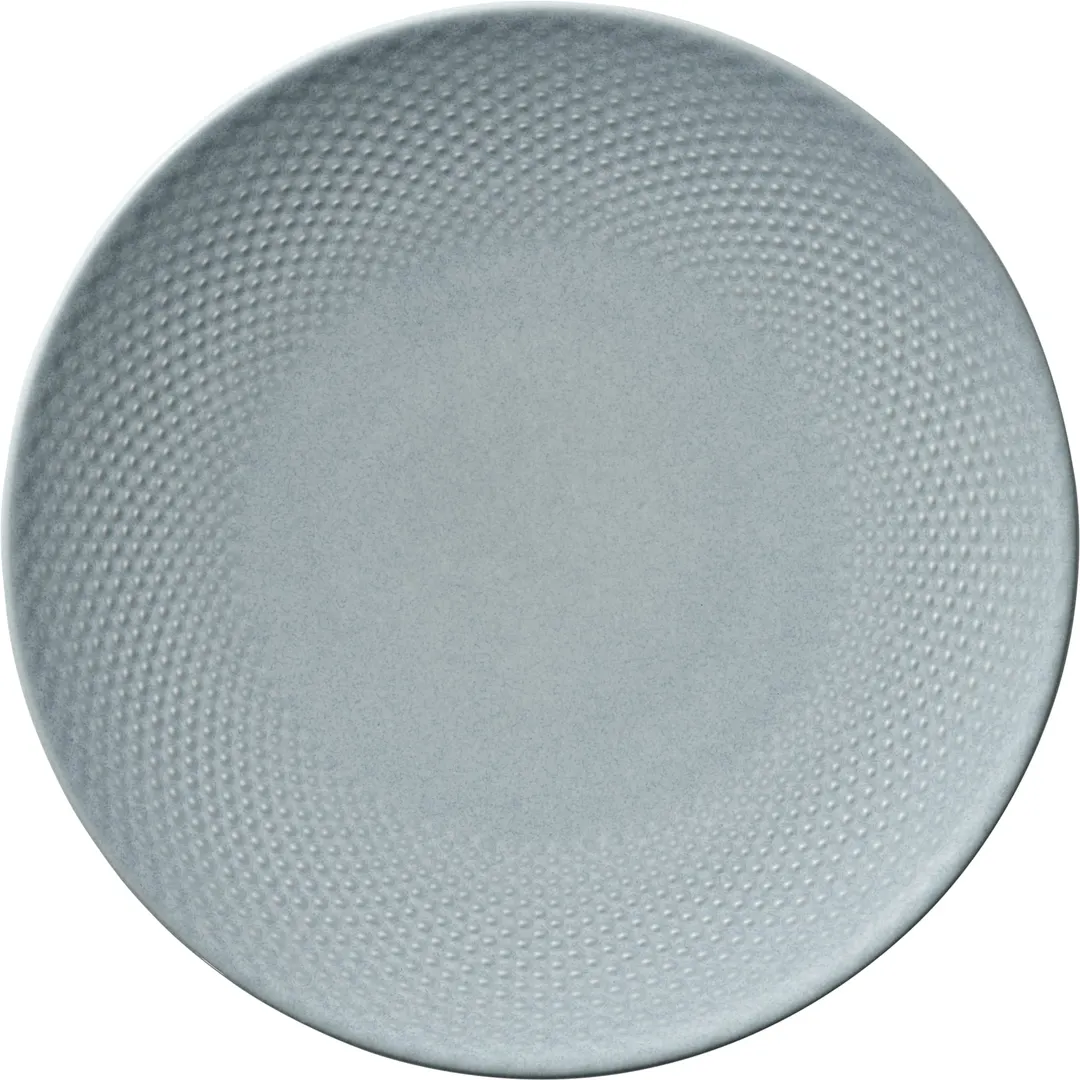Libbey 802122441000201 9"½ Coupe Rim China Plate Sky Pine, 9.5" x 1" Microwave Oven Safe - 6/Case