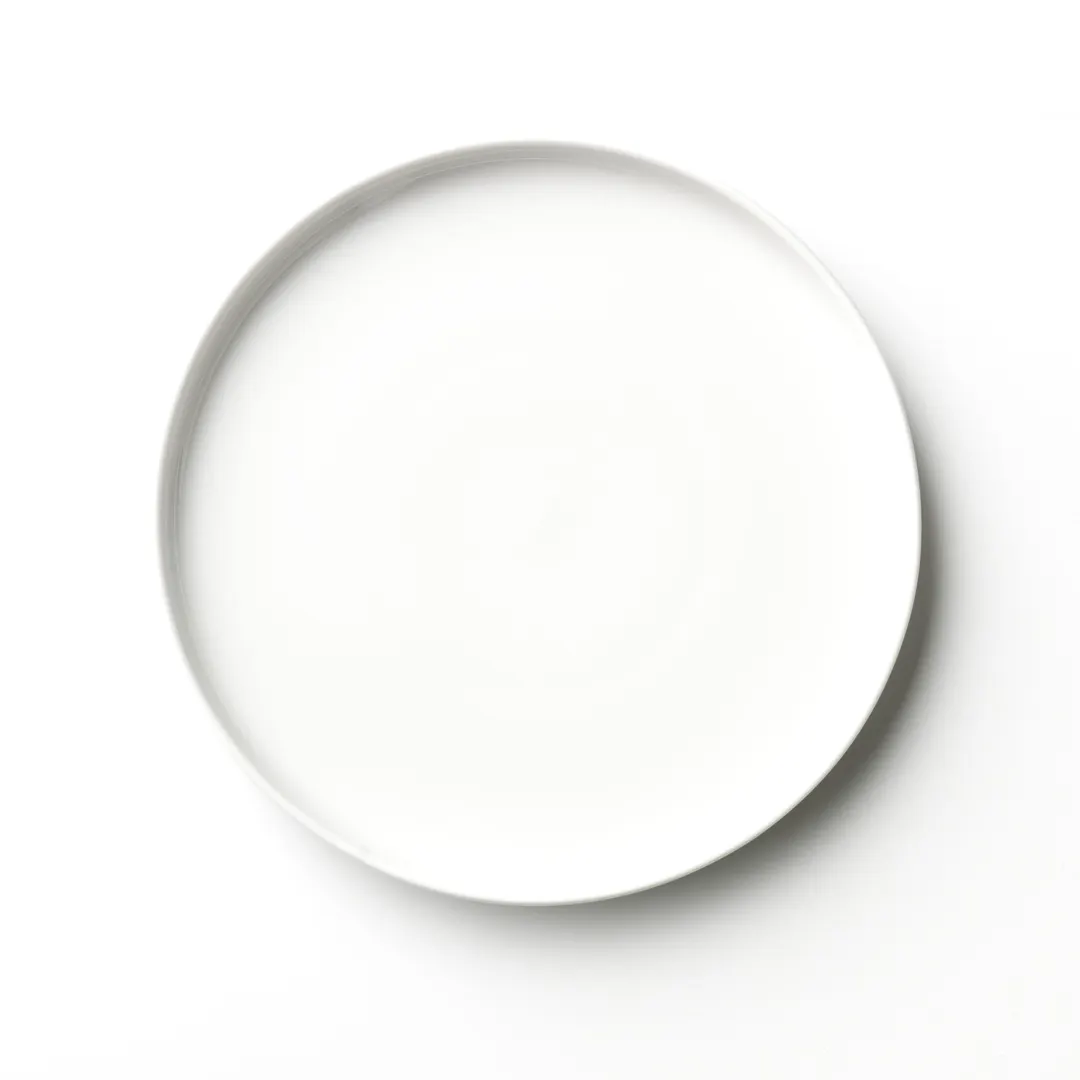 Libbey 840-330-010 China Plate – 10½" Round Bright White Porcelain, Stackable, 12/Case