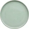 Schonwald 9251278B1 - 11" Round Porcelain Plate, Coupe Rim, Shiro Glaze Frost, Dishwasher Safe - 6/Case