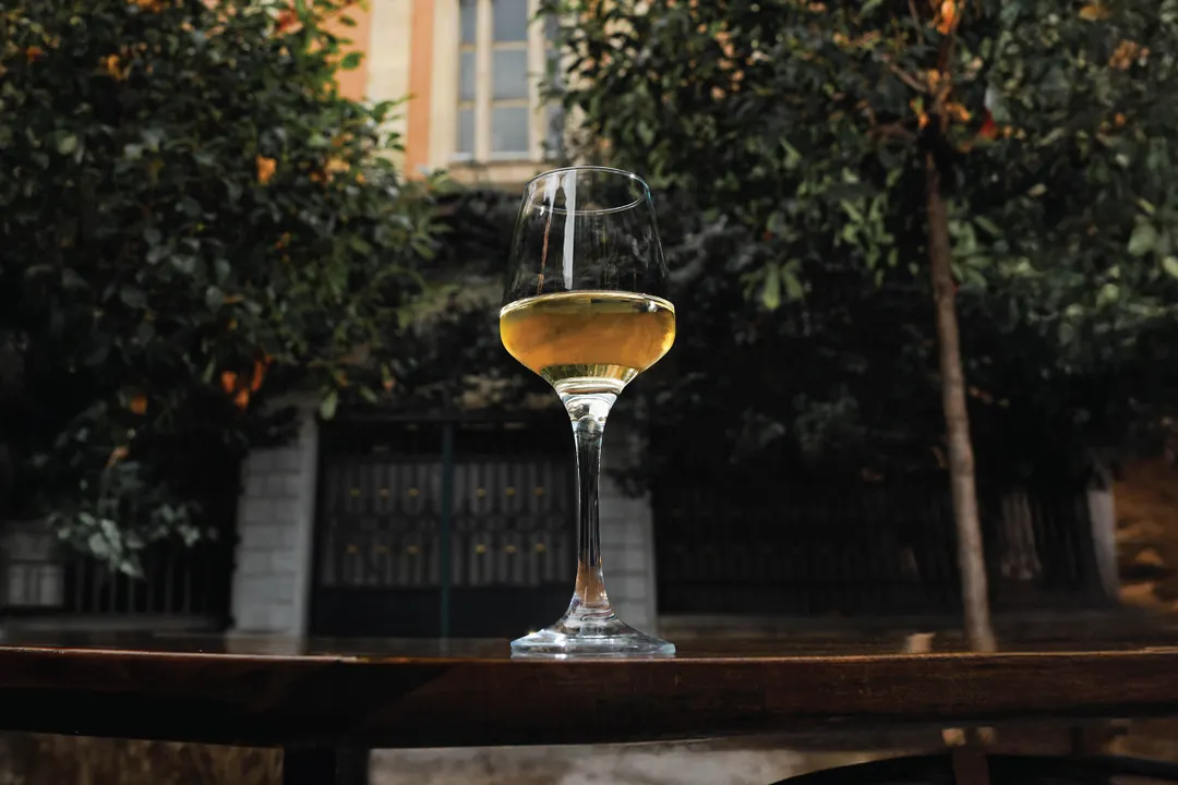 LAV HORECA LYN533 Lyon Wine Glass, 11 1/8 oz, 8" Height, 2 3/8" Rim, Stemmed Glass, 12/Case