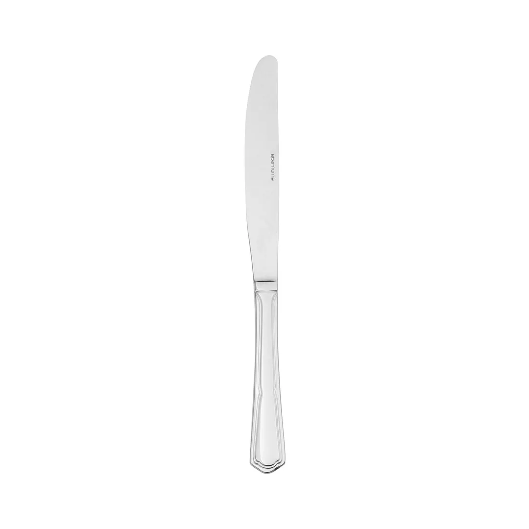 Turgla ETE1700-5 Dinner Knife – 9.25" Silver Mono Flatware, 18/10 Stainless Steel, Solid Handle
