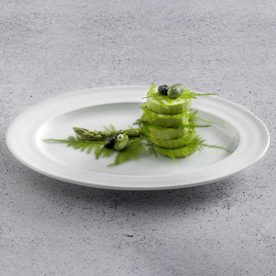 Turgla LIZ27DU00 - 10.5" Round White Porcelain Dinner Plate, Rolled Edge, Wide Rim