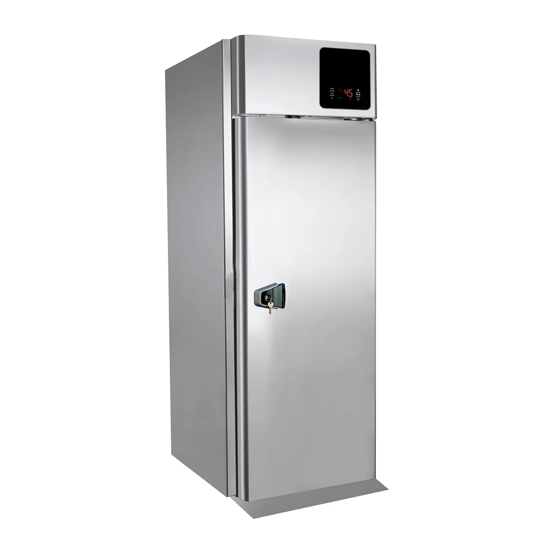 QualServ UCFZ633-SS31A 33-7/8" 2-Solid Door Roll-In Freezer, Top Mounted, 35.8 cu. ft., Stainless Steel