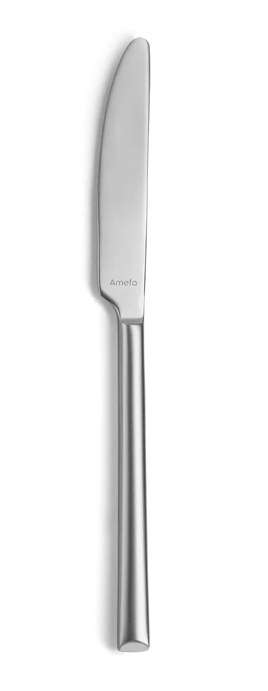 Amefa 1170V1B000305 Dinner Knife – 8-7/8" Finish, 13/0 Steel Handle, Velvet - 1 Dozen