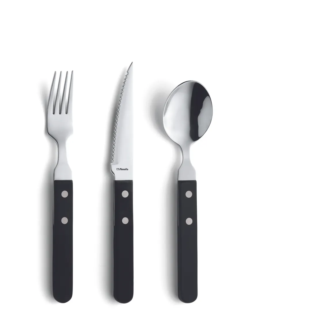Amefa 700000B000345 Dessert Spoon – 7‑11/16" 18/0 Stainless Steel, Black POM Handle - 1 Dozen