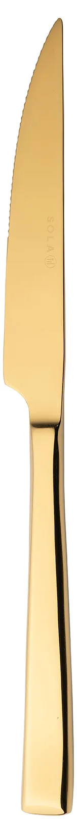 RAK Porcelain CDUSTKG Steak Knife, 9.6" Length, PVD Gold Finish, Stainless Steel Construction - Case