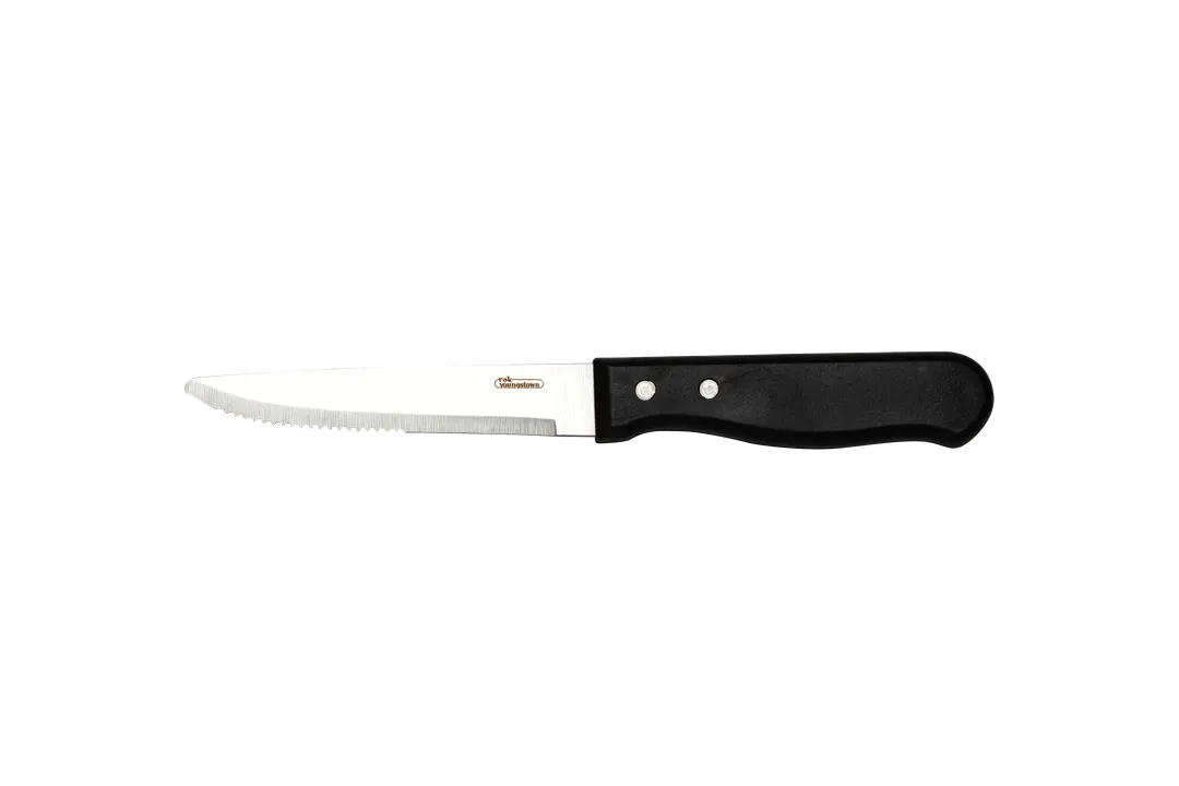 RAK Porcelain CHJSTKBKS - Steak Knife, 9.5" Blade, 18/10 Stainless Steel, Satin Handle, 9" - Case