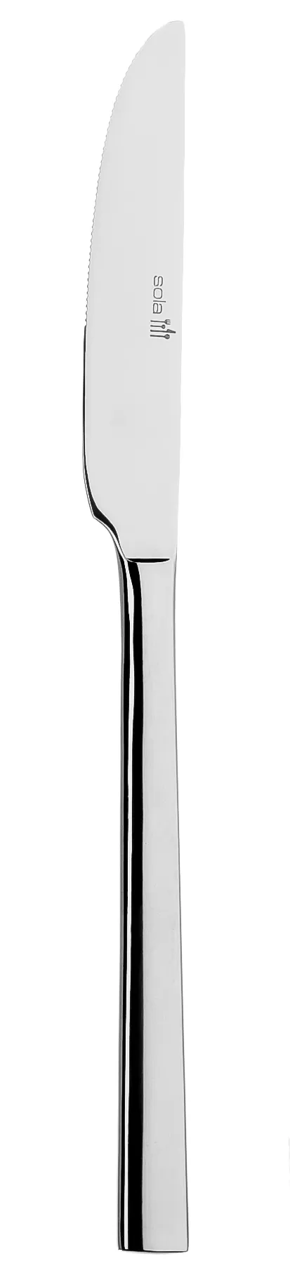 RAK Porcelain CMXDIK Dinner Knife – 9.1" Table Knife, Stainless Steel, Montreux Finish, 12/Case
