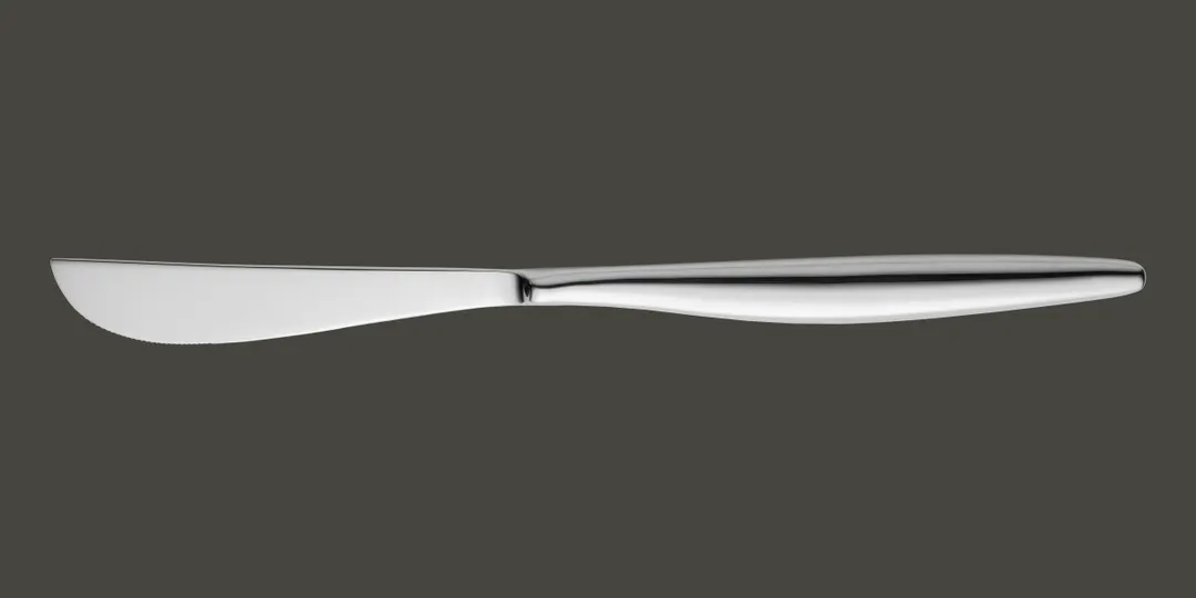 RAK Porcelain CNWDIK - Hollow Handle Dinner Knife, 9.2" Length, Stainless Steel, 12/Case