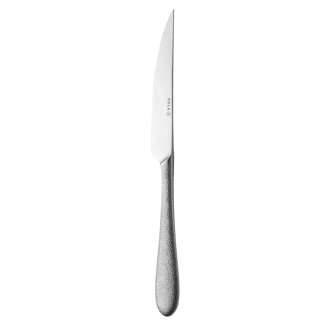 RAK Porcelain CPHSTK Steak Knife - 9.37" Length, 18/10 Stainless Steel Blade, Phoenix Finish, 8-9" Case