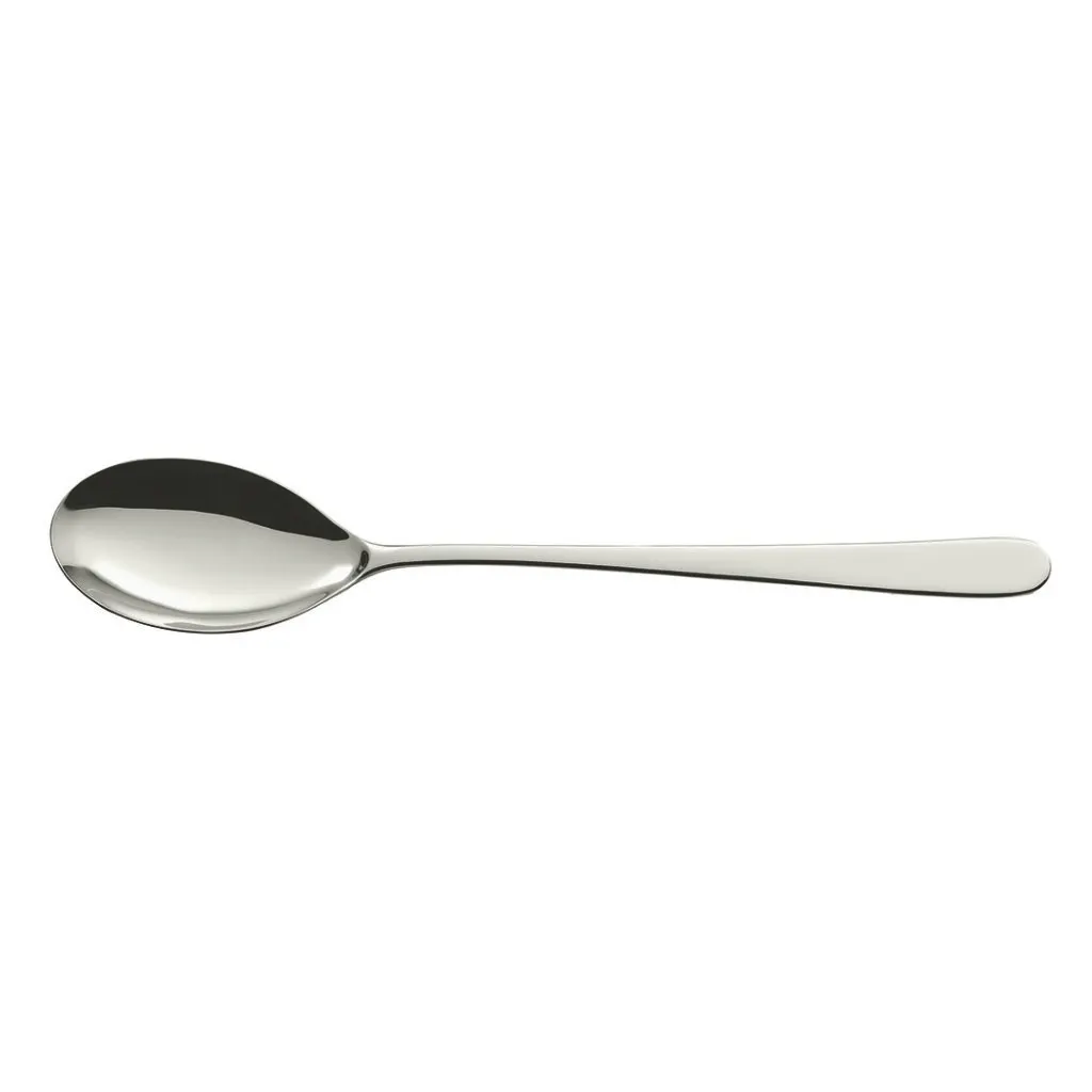 RAK Porcelain CSOCDS - 14.96" Chafing Dish Spoon, Stainless Steel Handle, 13‑14" Length - 1/Case