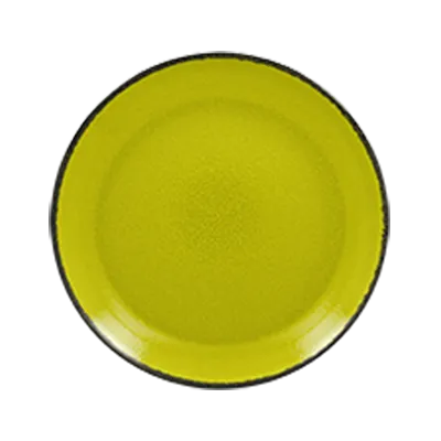 RAK Porcelain FRNNPR21GR China Plate