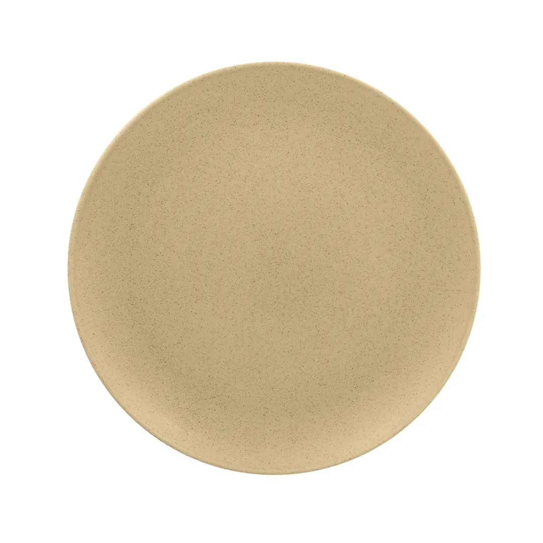 RAK Porcelain GNNNPR24AL China Plate