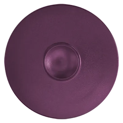 RAK Porcelain NFMRFP30PP China Plate