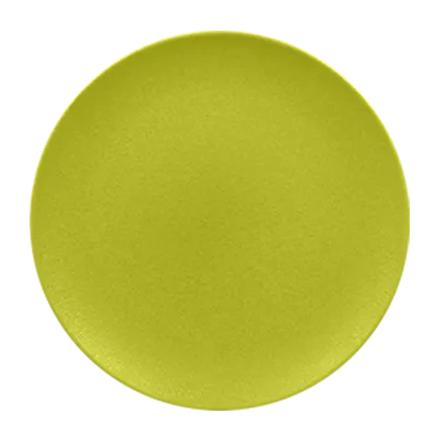 RAK Porcelain NFNNPR18KG China Plate