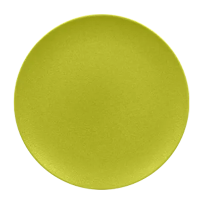RAK Porcelain NFNNPR29KG Round Plate, 11.4" Diameter, Flat Coupe Rim, Porcelain, Kiki Green - 12/Case