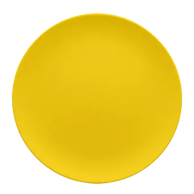 RAK Porcelain NFNNPR31CY China Plate