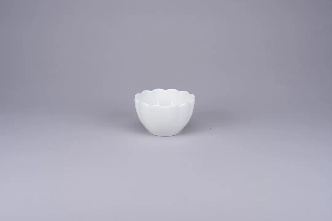 RAK Porcelain PLVIBW20 China Soup Cup / Mug