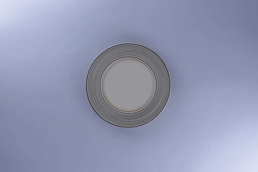 RAK Porcelain REALUFP19E11 China Plate