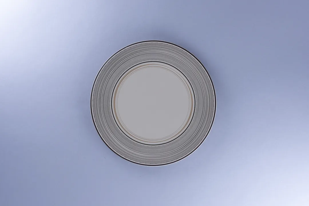 RAK Porcelain REALUFP24E11 China Plate