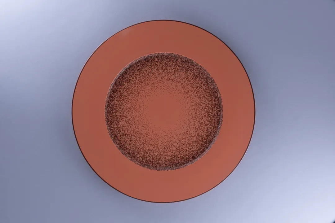 RAK Porcelain RETFDFP33E02 - Tero Denia Show Plate, 12.8" (13") Round Porcelain Dinner Plate - 6/Case