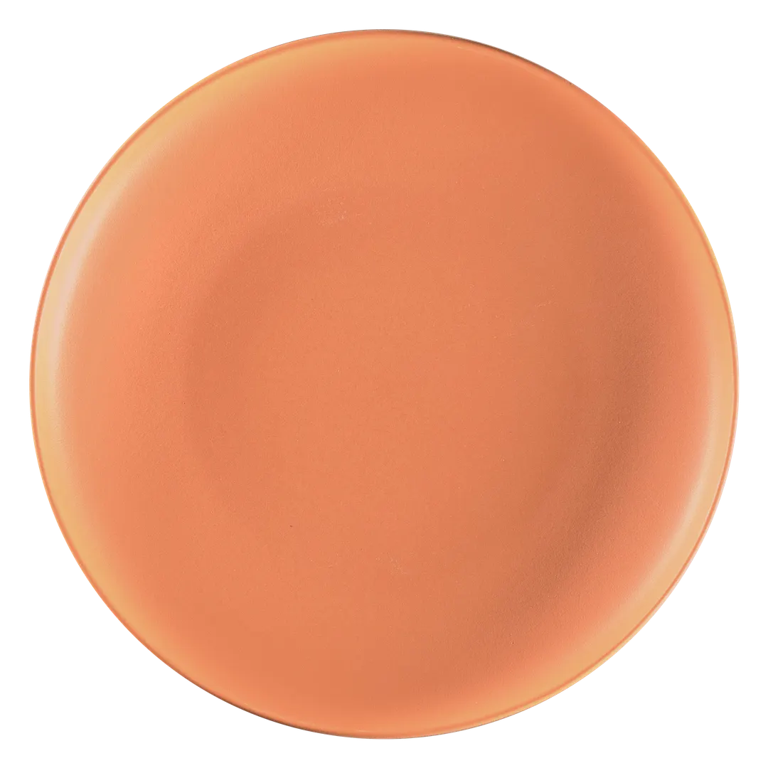 RAK Porcelain RETLUDP24 China Plate