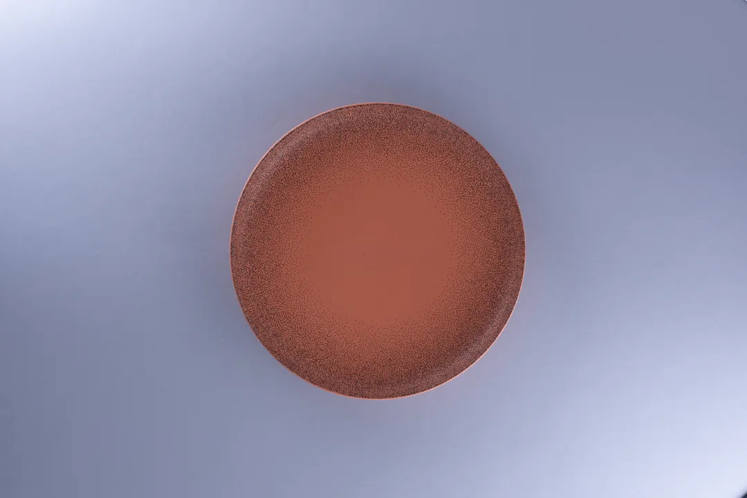 RAK Porcelain RETLUDP24E02 - Tero Denia Round China Plate, 9.25" Diameter, Deep Rim Porcelain, 12/Case