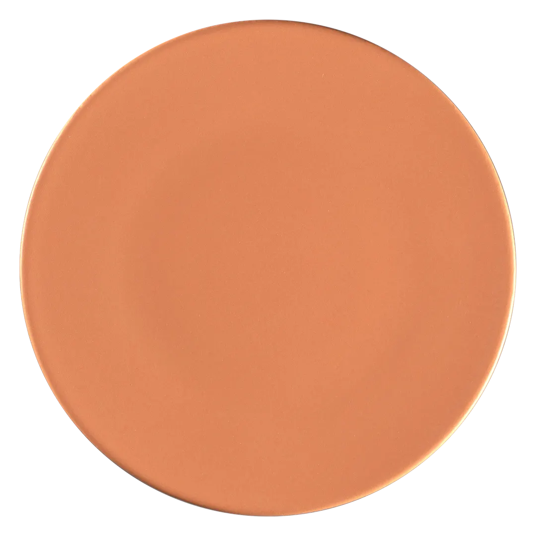 RAK Porcelain RETLUFP24 China Plate